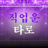 직업운 타로 이미지